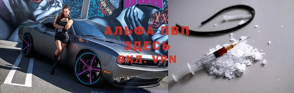 стаф Волоколамск