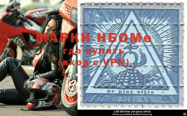 стаф Волоколамск