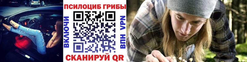 дарнет шоп  гидра зеркало  Галлюциногенные грибы Psilocybine cubensis  Инта 